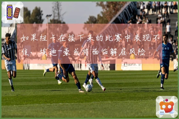 如果纽卡在接下来的比赛中表现不佳，埃迪-豪或将面临解雇风险